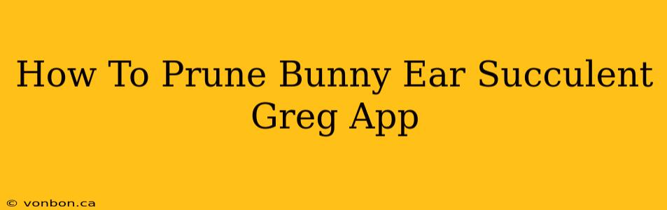 How To Prune Bunny Ear Succulent Greg App