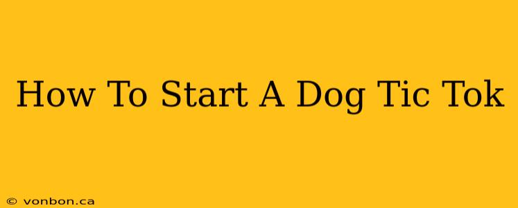 How To Start A Dog Tic Tok