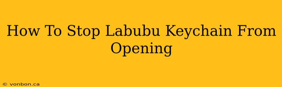 How To Stop Labubu Keychain From Opening