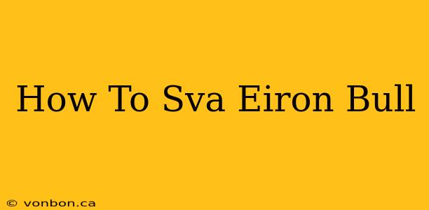 How To Sva Eiron Bull