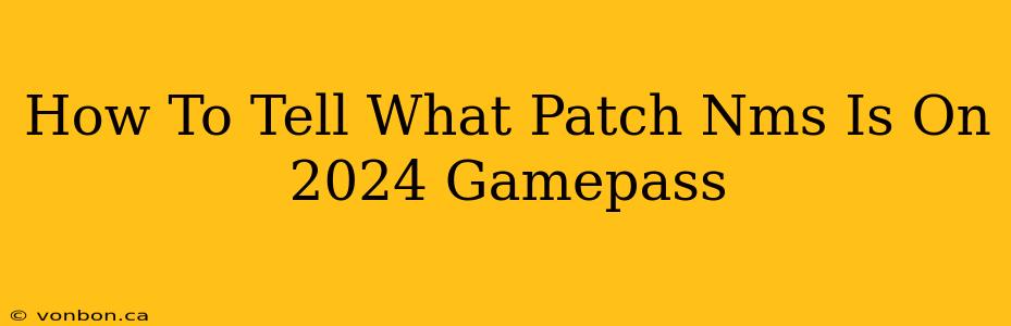 How To Tell What Patch Nms Is On 2024 Gamepass