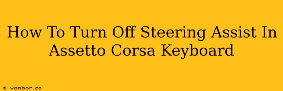 How To Turn Off Steering Assist In Assetto Corsa Keyboard