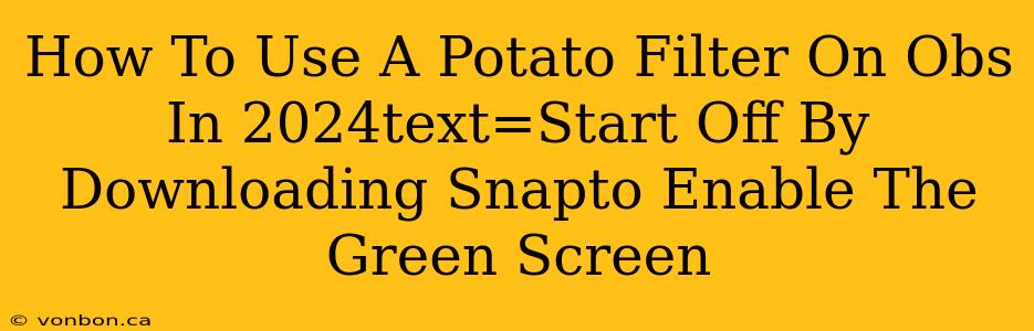 How To Use A Potato Filter On Obs In 2024text=Start Off By Downloading Snapto Enable The Green Screen