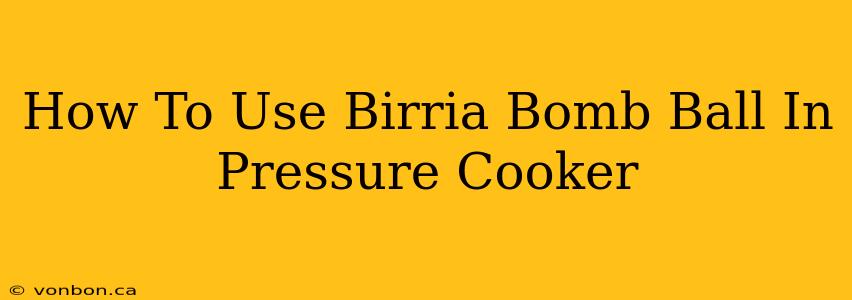 How To Use Birria Bomb Ball In Pressure Cooker