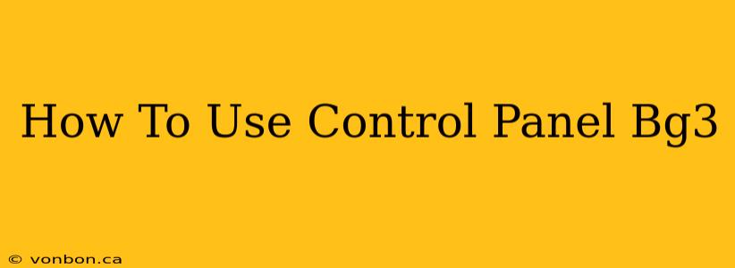 How To Use Control Panel Bg3