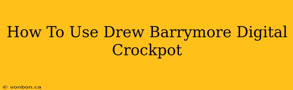 How To Use Drew Barrymore Digital Crockpot