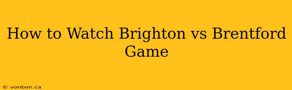 How to Watch Brighton vs Brentford Game