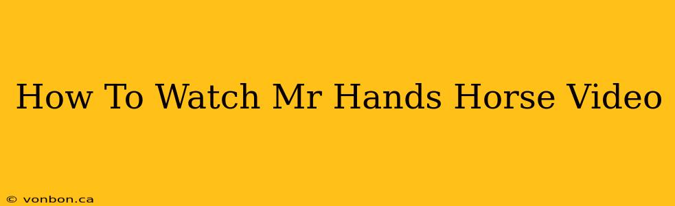 How To Watch Mr Hands Horse Video