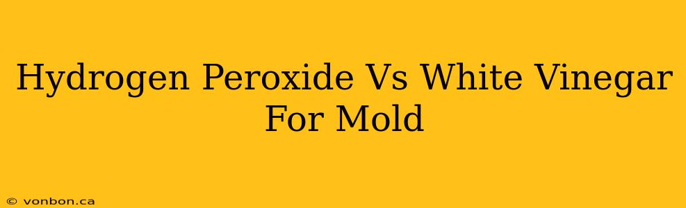 Hydrogen Peroxide Vs White Vinegar For Mold