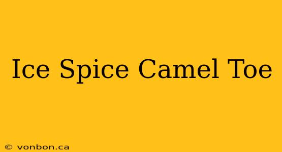 Ice Spice Camel Toe