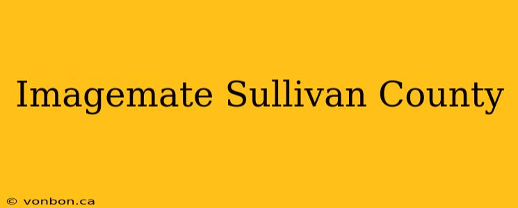 Imagemate Sullivan County