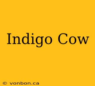 Indigo Cow