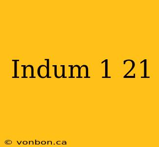 Indum 1 21