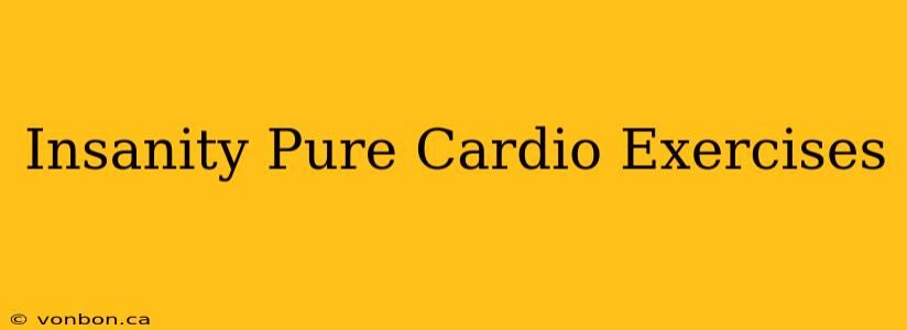 Insanity Pure Cardio Exercises