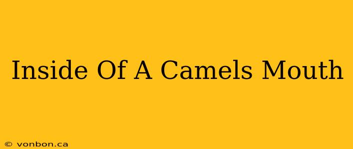 Inside Of A Camels Mouth