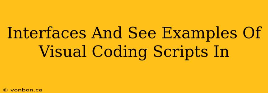 Interfaces And See Examples Of Visual Coding Scripts In