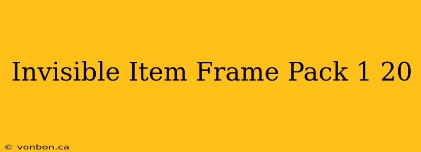 Invisible Item Frame Pack 1 20