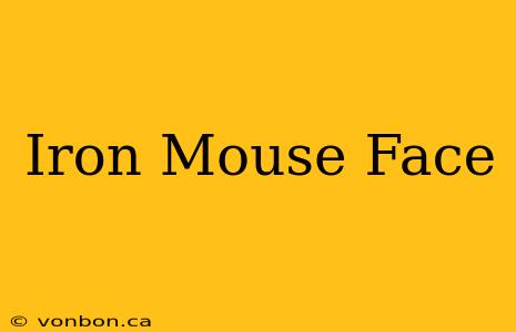 Iron Mouse Face