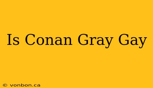 Is Conan Gray Gay