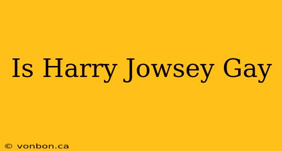 Is Harry Jowsey Gay