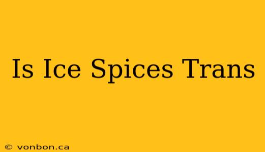 Is Ice Spices Trans