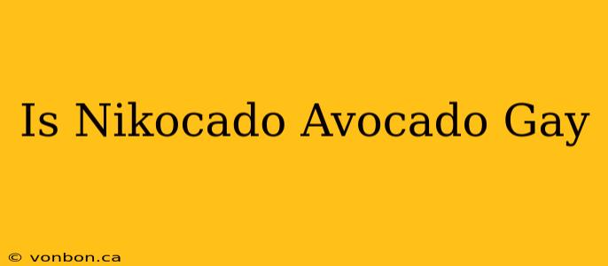 Is Nikocado Avocado Gay