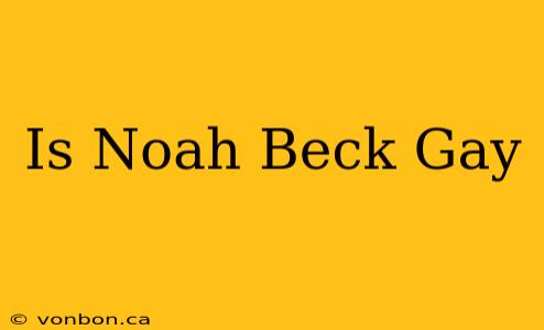 Is Noah Beck Gay