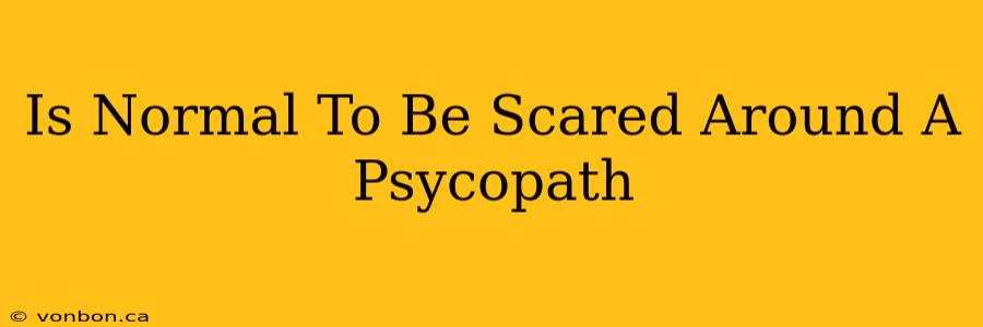 Is Normal To Be Scared Around A Psycopath