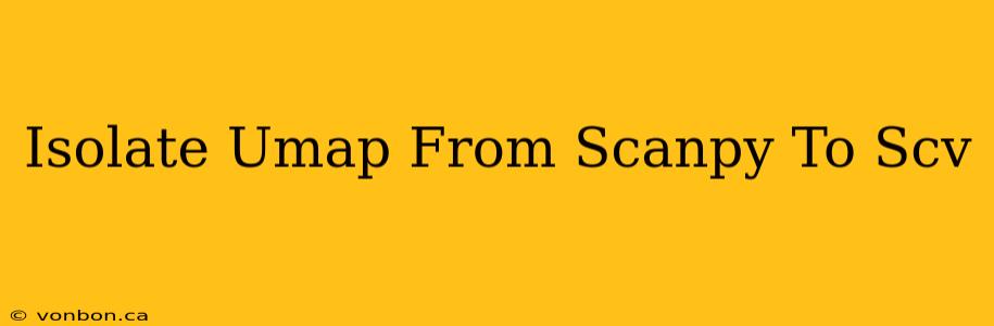 Isolate Umap From Scanpy To Scv