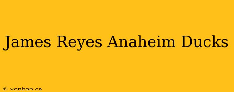 James Reyes Anaheim Ducks