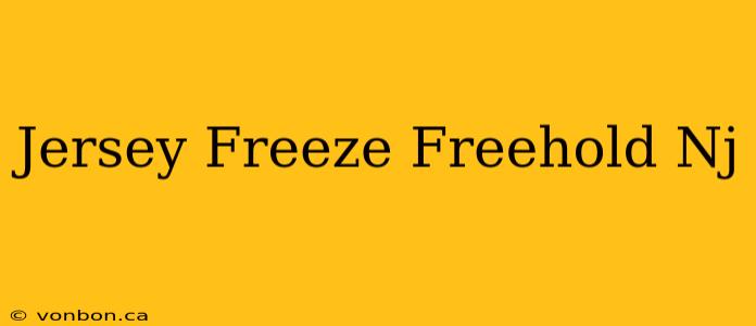 Jersey Freeze Freehold Nj