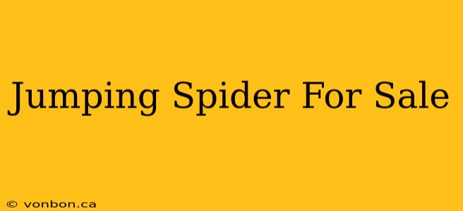 Jumping Spider For Sale