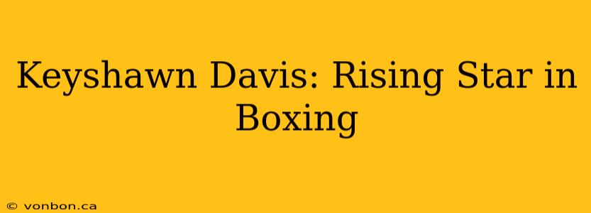 Keyshawn Davis: Rising Star in Boxing