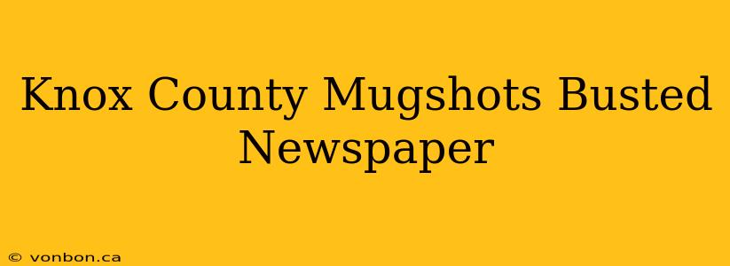 Knox County Mugshots Busted Newspaper