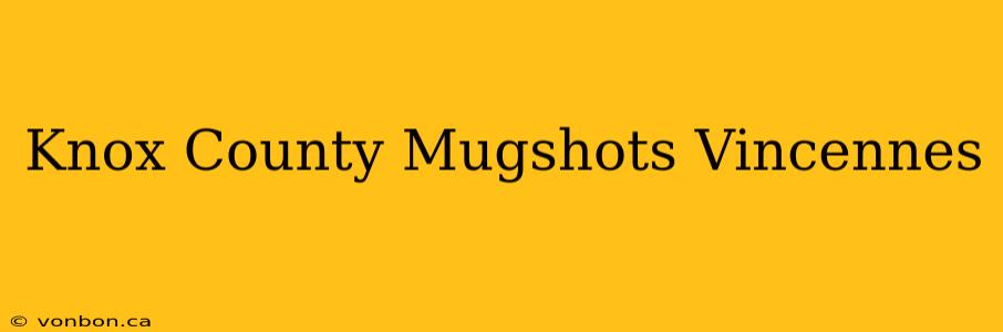 Knox County Mugshots Vincennes