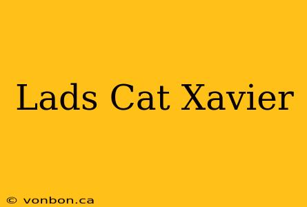 Lads Cat Xavier