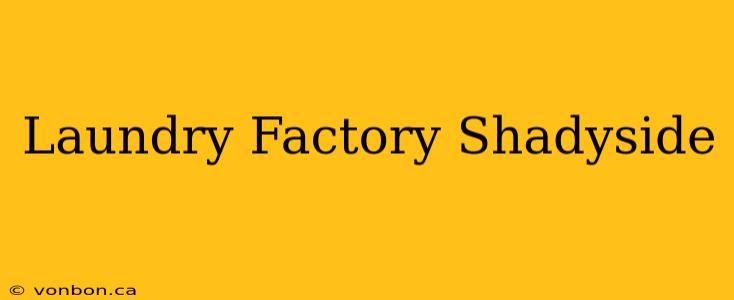 Laundry Factory Shadyside