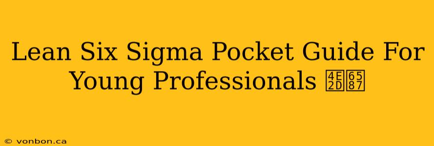 Lean Six Sigma Pocket Guide For Young Professionals 中文