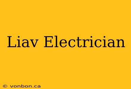 Liav Electrician