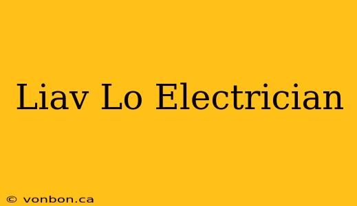 Liav Lo Electrician