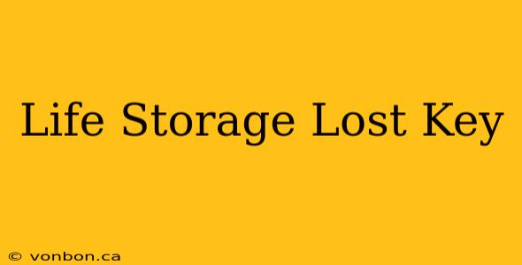 Life Storage Lost Key