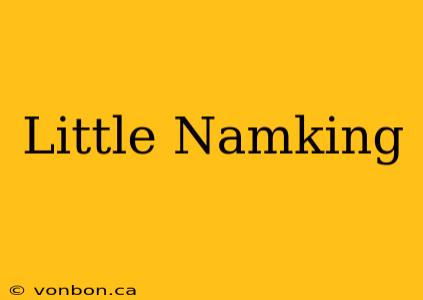 Little Namking