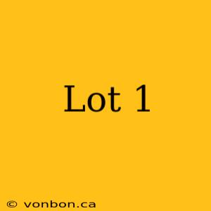 Lot 1