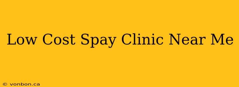 Low Cost Spay Clinic Near Me