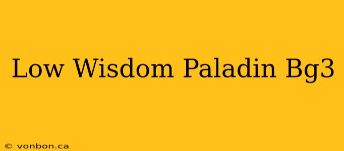 Low Wisdom Paladin Bg3