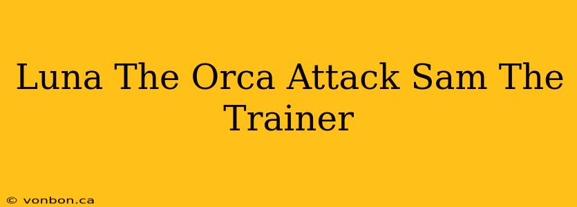 Luna The Orca Attack Sam The Trainer