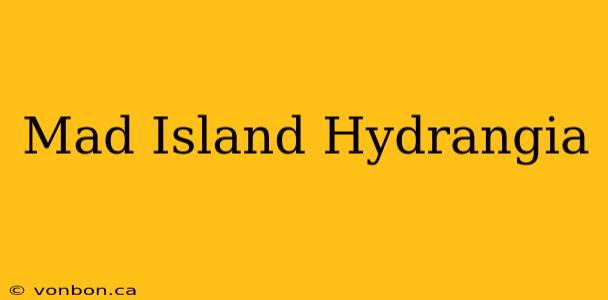 Mad Island Hydrangia