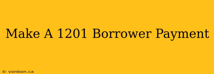 Make A 1201 Borrower Payment