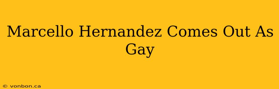 Marcello Hernandez Comes Out As Gay