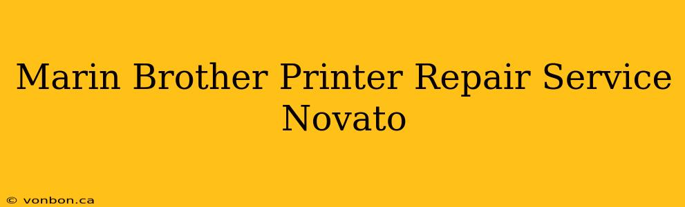 Marin Brother Printer Repair Service Novato